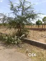 Plot for sale