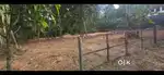 പാലാ - മീനച്ചിൽ പഞ്ചായത്തിൽ വെള്ളം കയറാത്ത 36 സെൻറ്