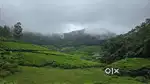 MUNNAR NEAR FOG RESORT JUST 200 METER  22 CENT PER CENT 2 LAKHS