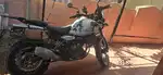 Brand new Himalayan 450 white