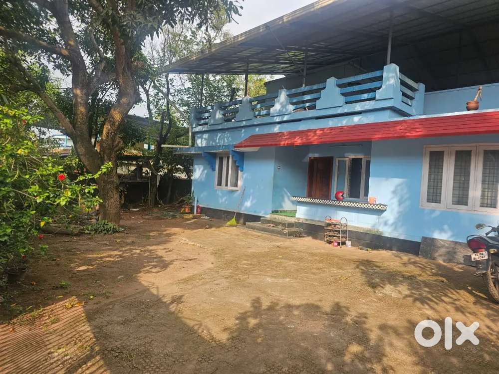 43 CENT PLOT WITH 5BHK HOUSE (PER CENT)