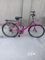 Pink cycle