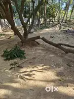 Land for sale near Airport