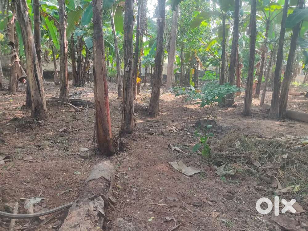 7 cent Residential Commercial Plot- Manamnoor Kallambalam