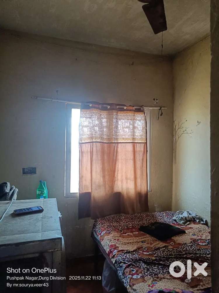 Need Roommate room partener