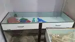 Wooden counter