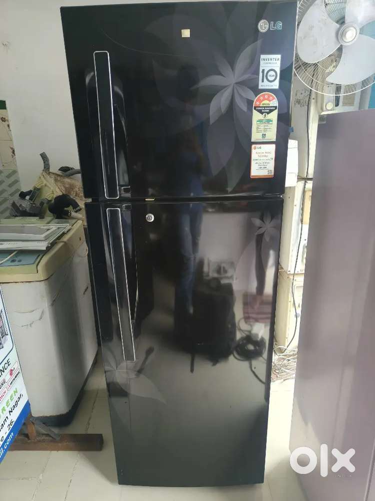 Lg double door