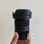 Sigma lens for Sony camera