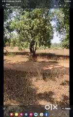 Plot for sale