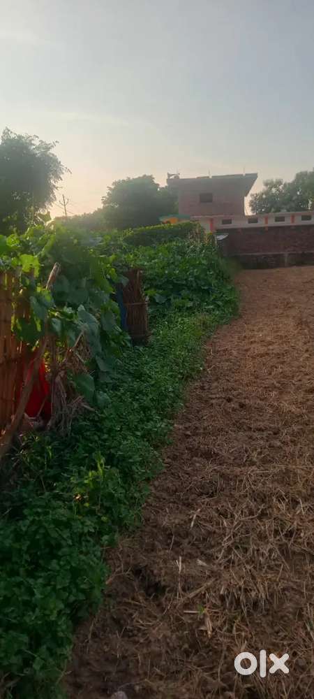 Bairia mai road pe h 12 lakh bissa rate h