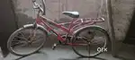 Bicycle good for future