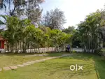 Indoor plants and landscape design