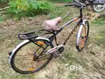 GANG BICYCLE