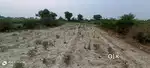 26 biswa jameen on highway chibbramau