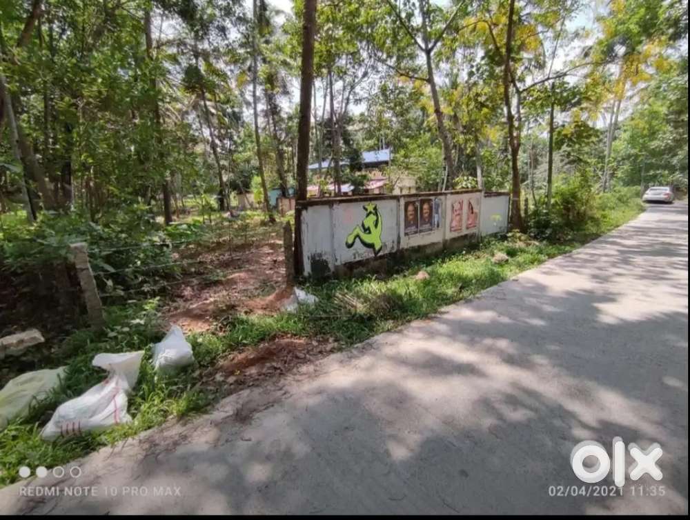Odanavattom plot for sale
