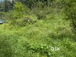 15 Biswaland for Sale in Kasol -Limited Time Offer!