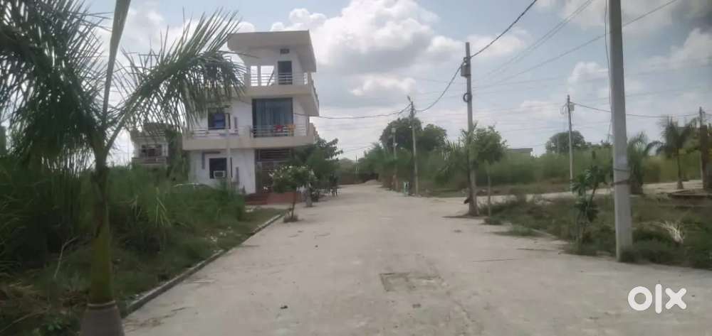 Panki shatabdi Nagar me plot uplabdh hai