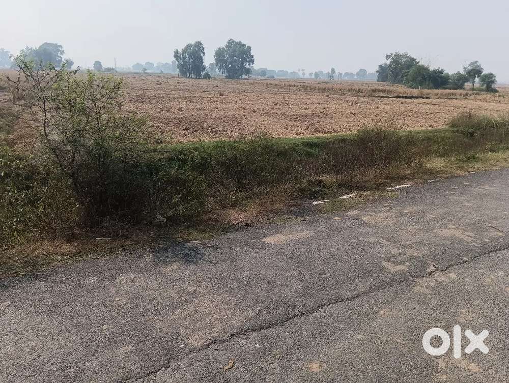 Masaurhi raunia me hai 15 decimal Jameen hai