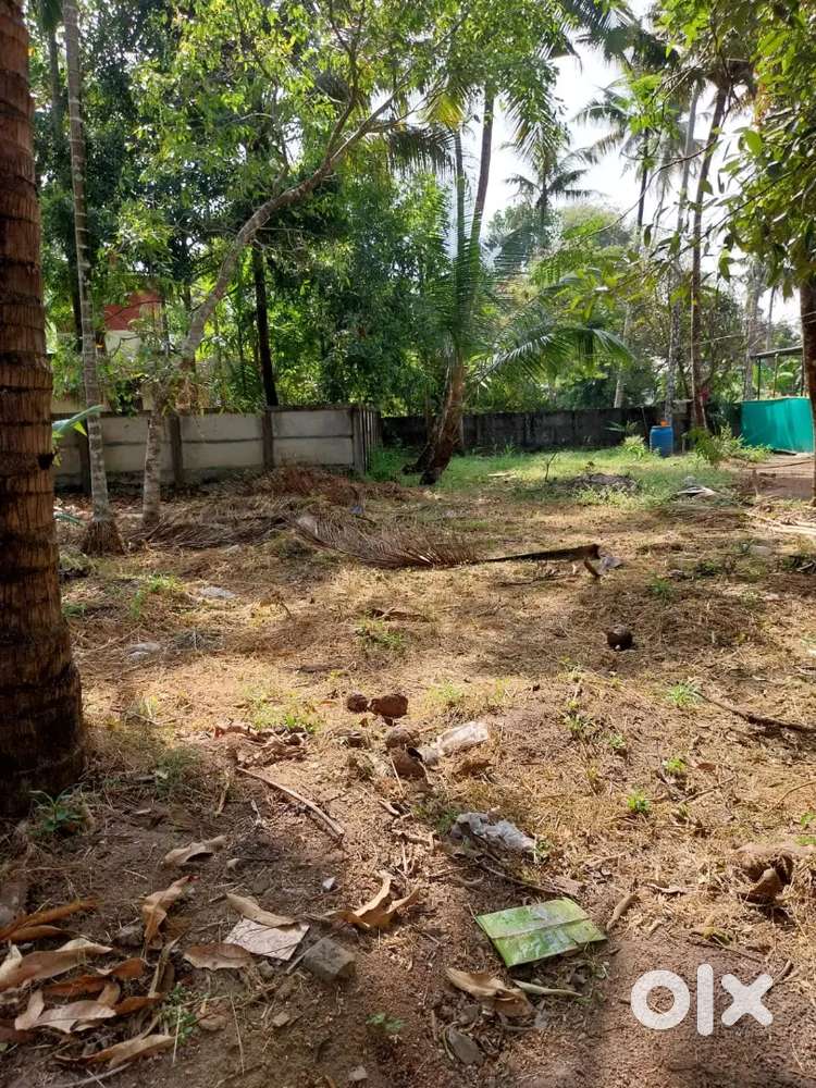 Plot for sale in Peringottukara