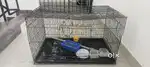 Paarot cage is for sale