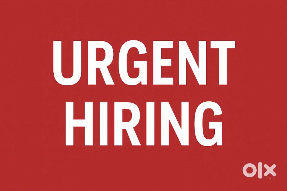 CUSTOMER RELATION EXECUTIVE (VISA SERVICE)