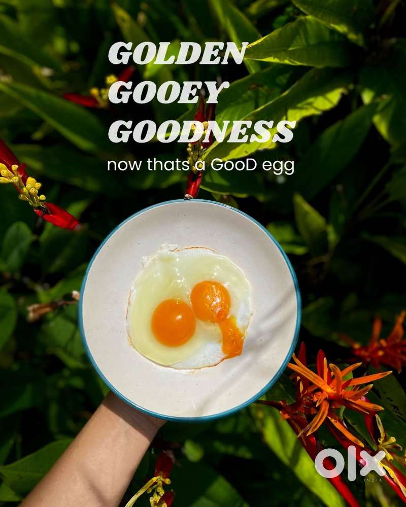 Field sales executive