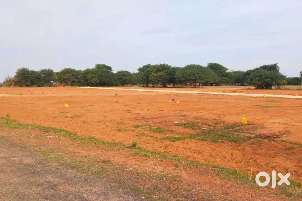 Trichy sooriyur plot