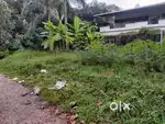 8 cent square plot kakkadassery