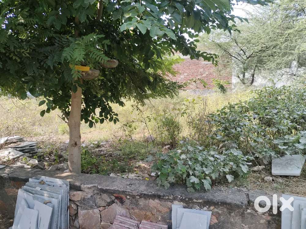 Jda aprovd plot nr Jnu university Jagatpura Jaipur