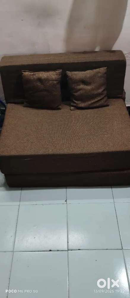 Two Seater Foldable sofa cum Bed