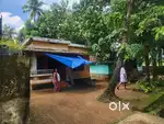 8.5 cent 3 bhk old house Peramangalam Thrissur