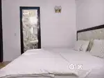 Fully furnished 3bhk for rent in Greater kailash 2