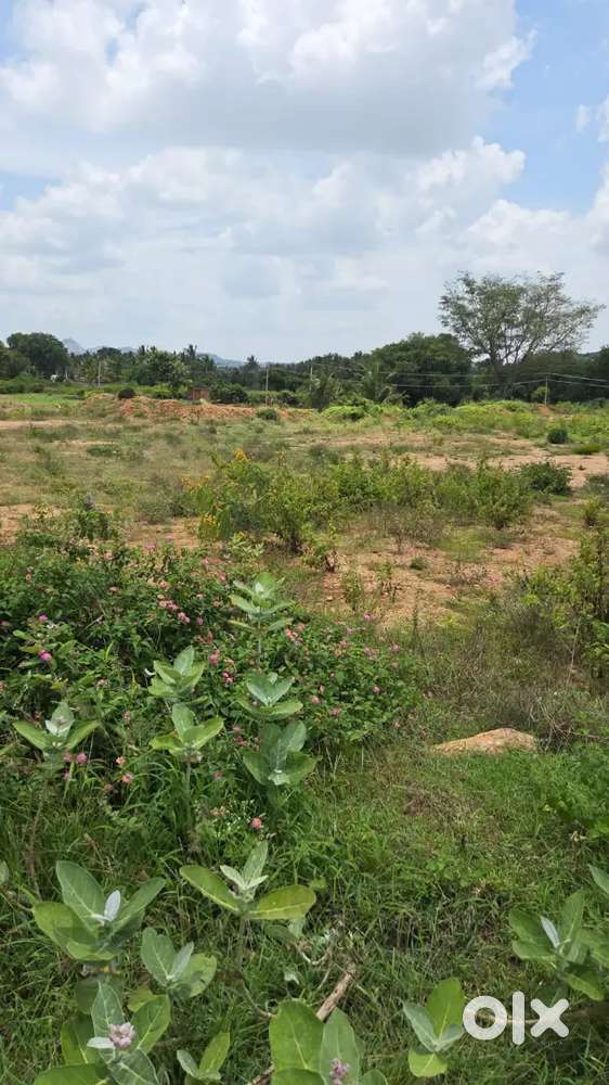 FARM LAND NEAR KELAMANGALAM