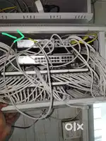 Computer Network Engineer