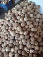 Looking for an investor for my coconut business