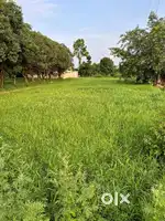 112.50Gaz Residential Plots for Sale in Sahaspur, Dehradun