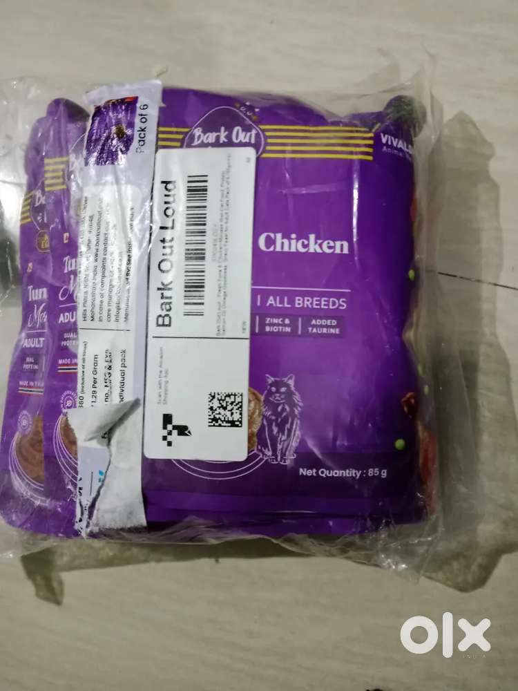 Cats food for adults