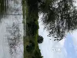 Looking for Roadside plot