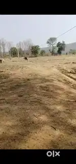 Bhatanmara (1 एक एकड़ जमीन खेती वाली)