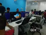 Best working opportunity