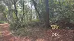Settlement plot for sale