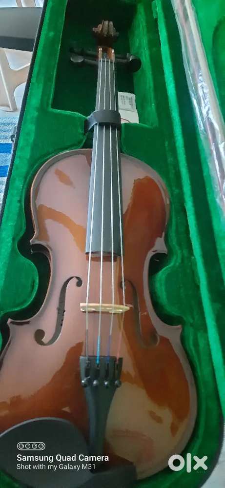 Violin filbert brand