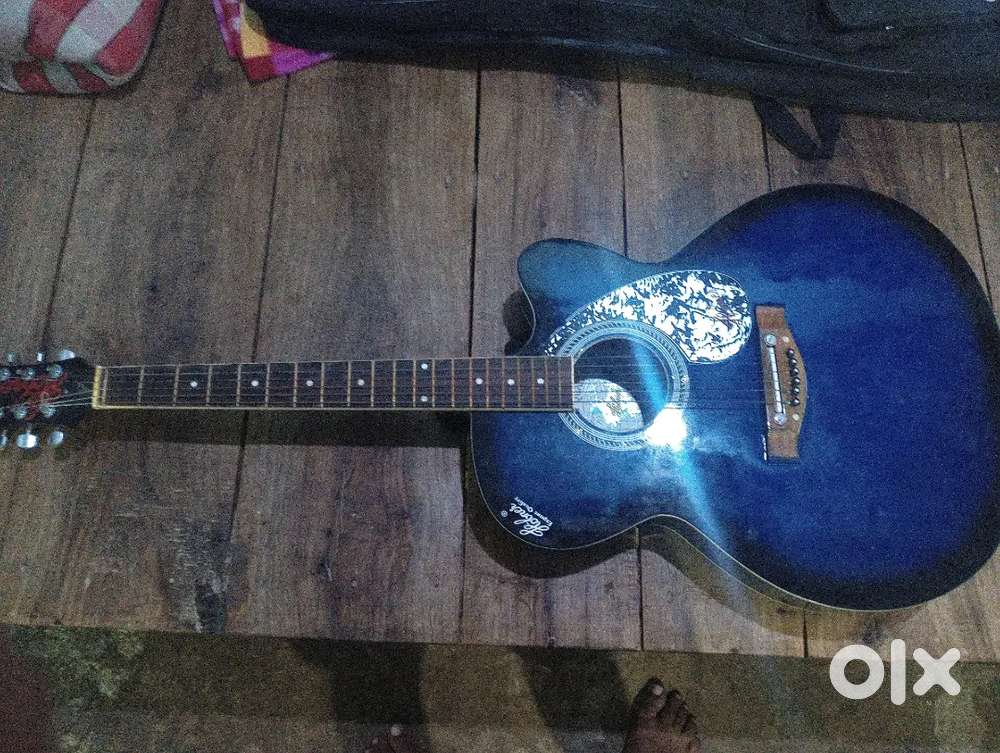 Hubner Guitar