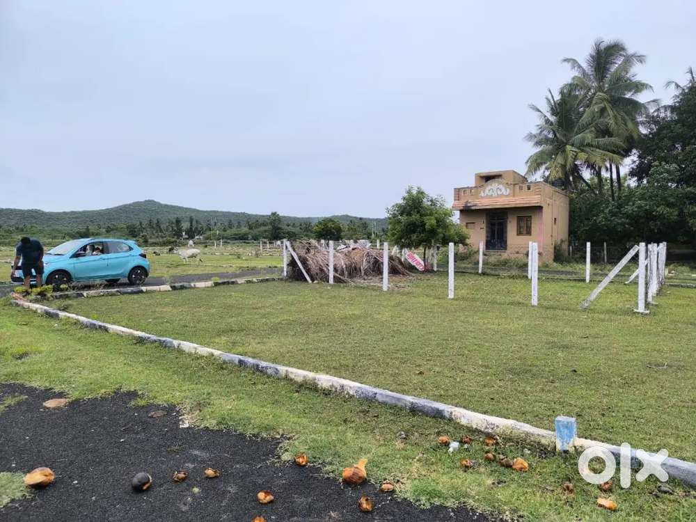 Low budget Plot for sale in acharapakkam near gst rd emergency selling