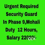 Mall Security Guard Job Mohali