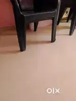 1 bhk flat for rent