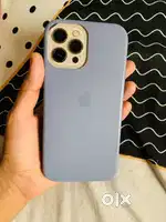iPhone 12 pro max indian