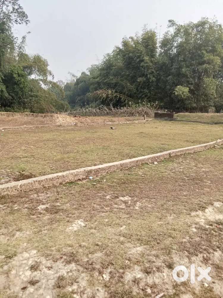 Land near Vivekananda Sr secondary school NIT Silchar