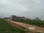 Low cost best plot for sale