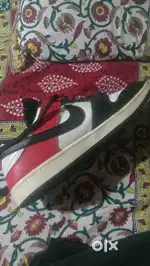 Nike sb dunk